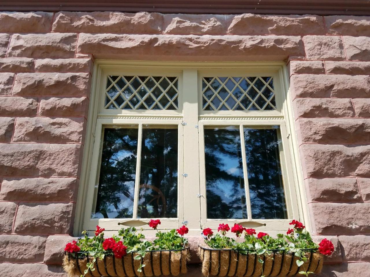 Pinehurst Inn Bed & Breakfast Bayfield Exteriör bild