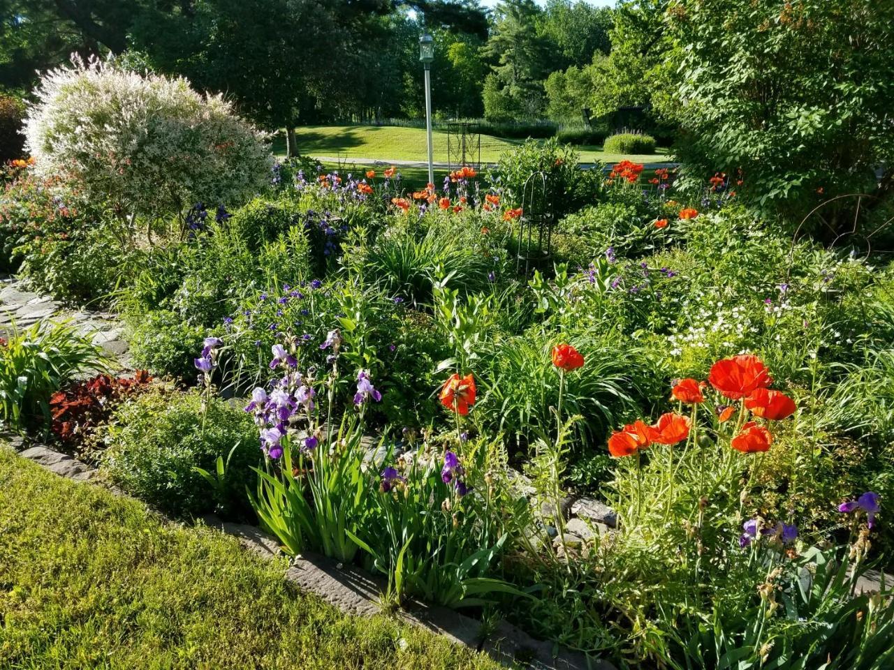 Pinehurst Inn Bed & Breakfast Bayfield Exteriör bild